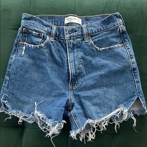 American Eagle Outfitters Distressed Blue Jean Shorts